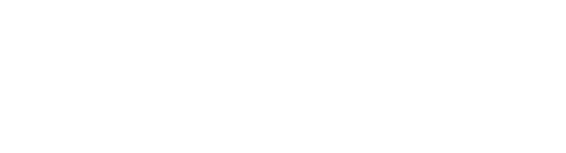 Dommi Logo